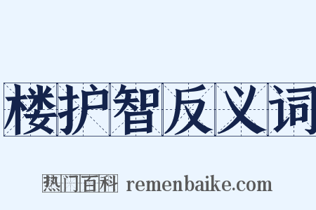 楼护智反义词是什么意思的图片